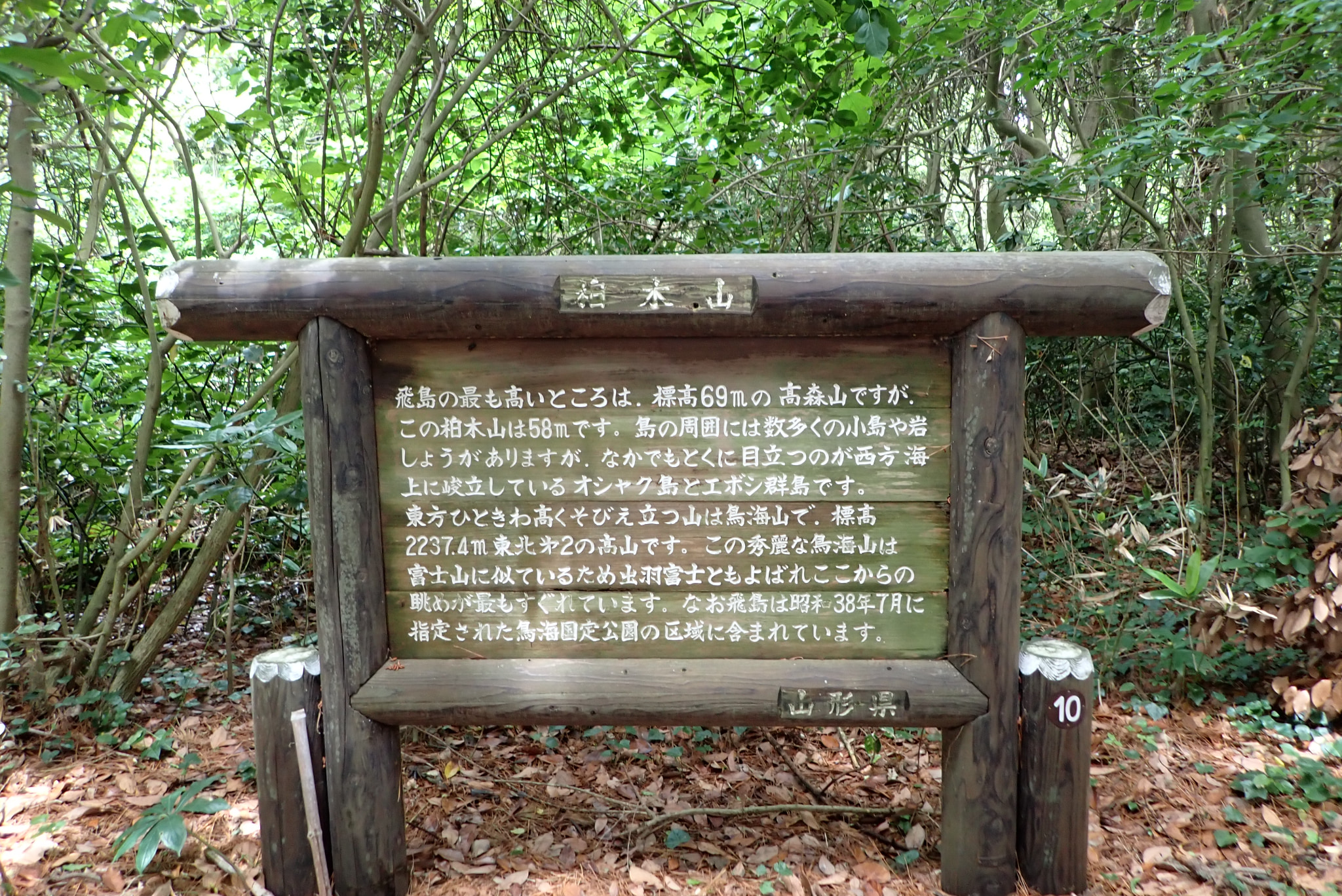 景色