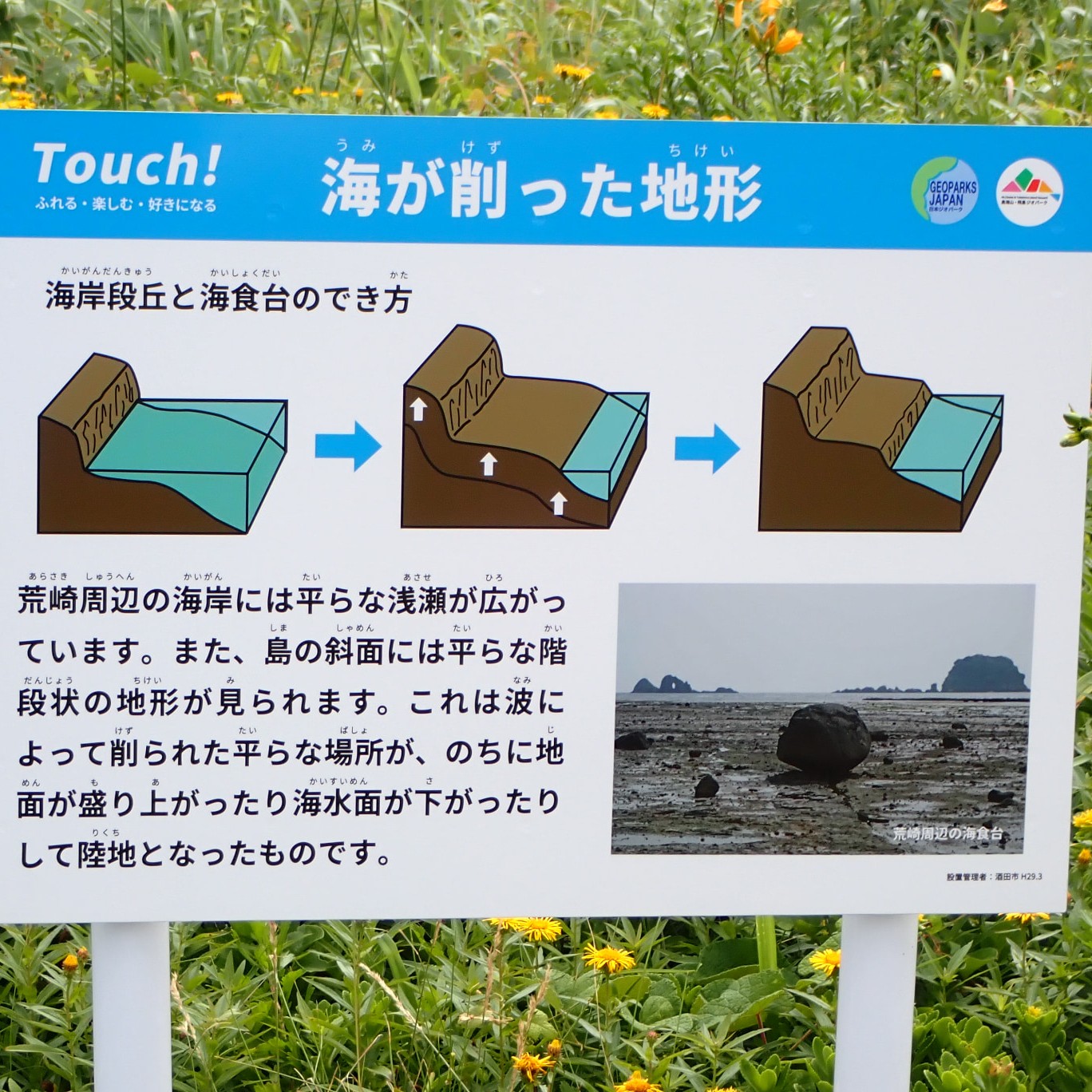 荒崎