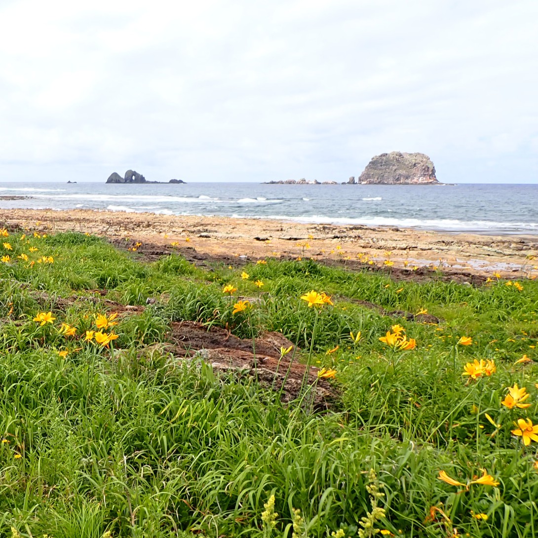 田下海岸