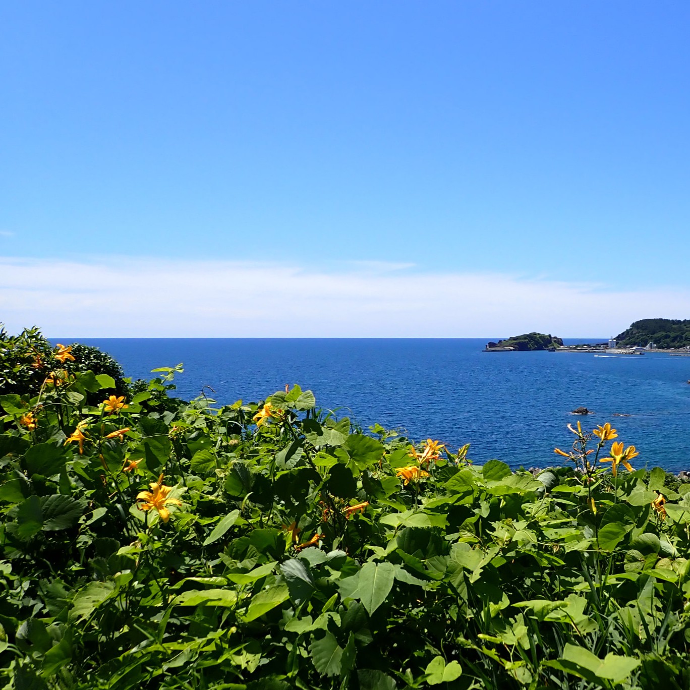 飛島
