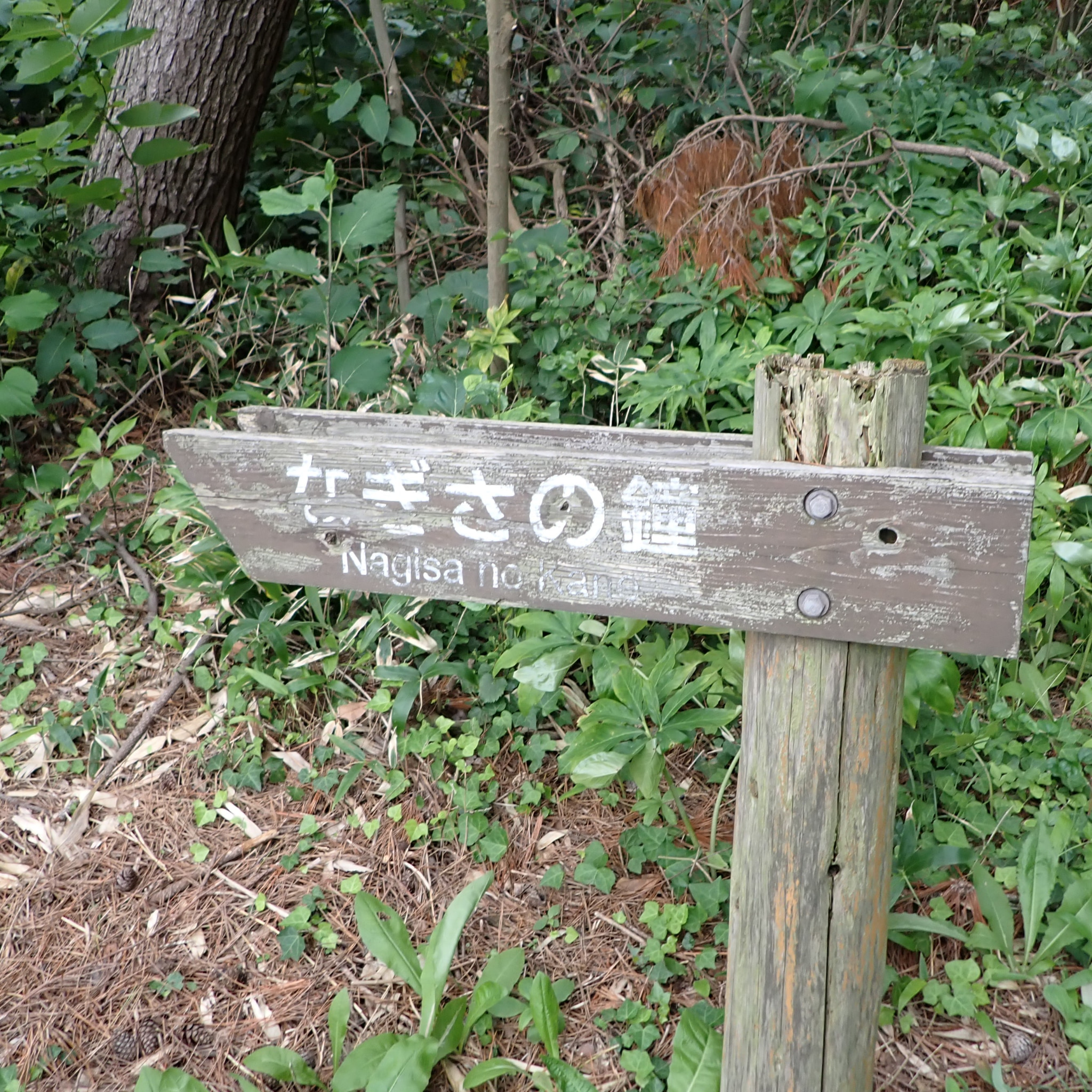 渚の鐘の看板